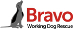 bravo-logo-new